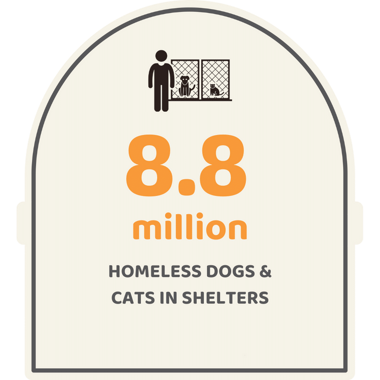 8 million strays in shelters