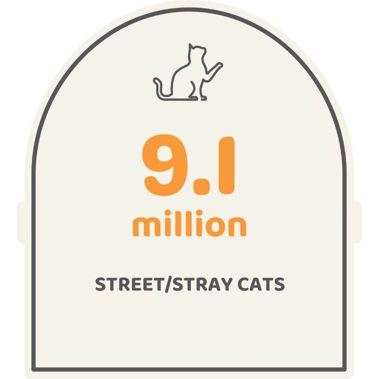 9.1 million stray cats in india