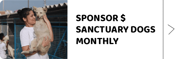 Sponsor Monthly USA & UK