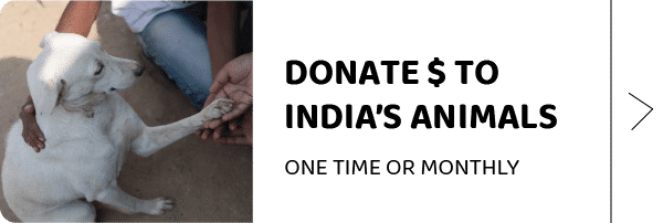 One time donations - US & UK