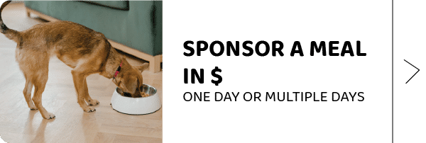 Sponsor a Meal - USA & UK