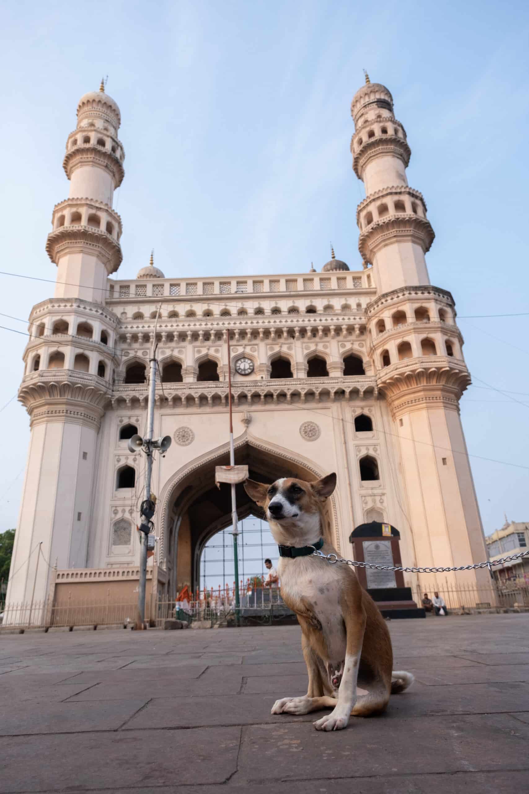 Indian dog at Charminar