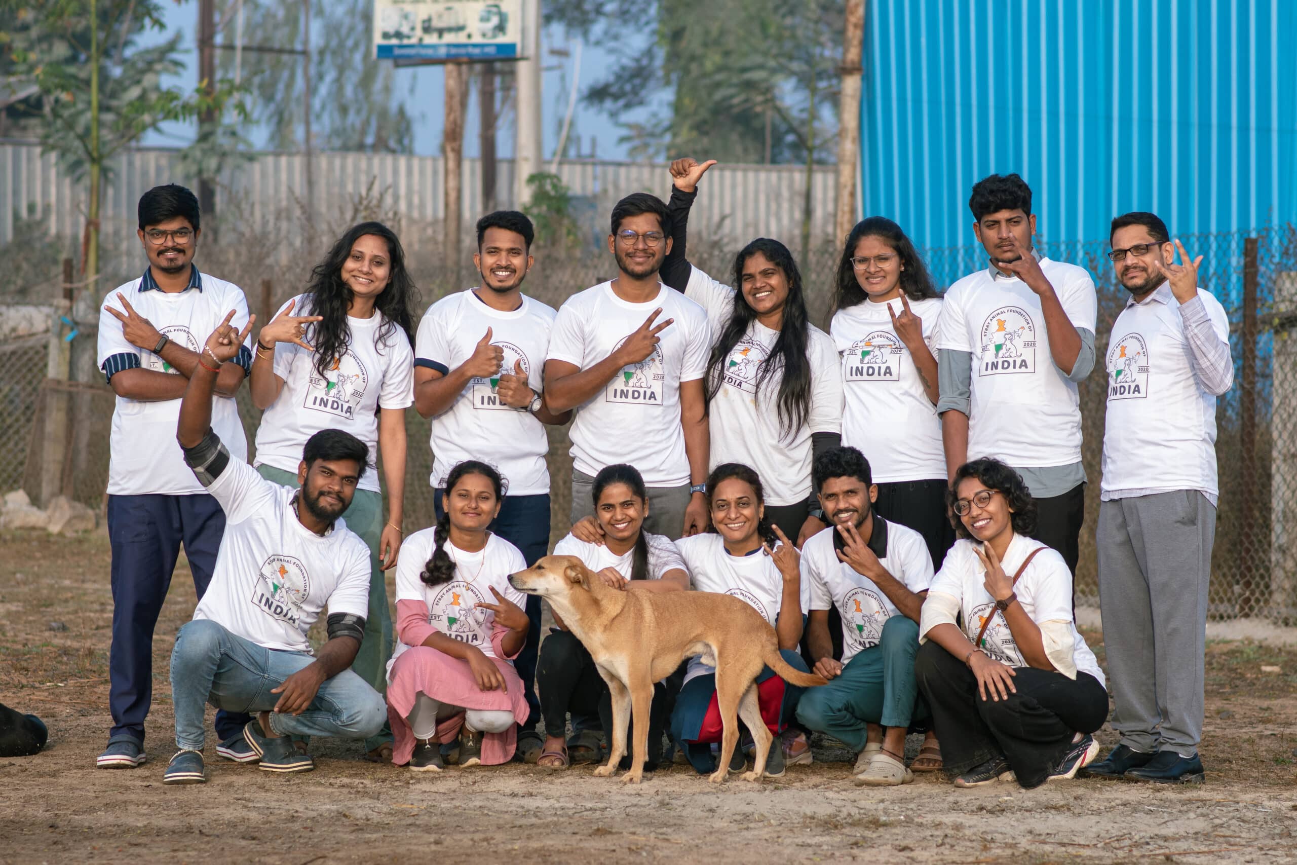 SAFI Team