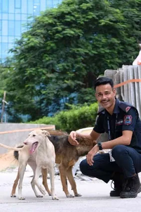 A SAFI team member with sterilized street dogs at the Mindspace IT park in Hyderabad