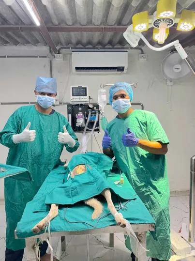 Veterinary surgeons in SAFI's new operating theater