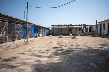 View across the ¾-acre SAFI shelter campus